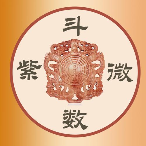 明灯易学:紫微神数,天机星坐守十二宫之兄弟宫