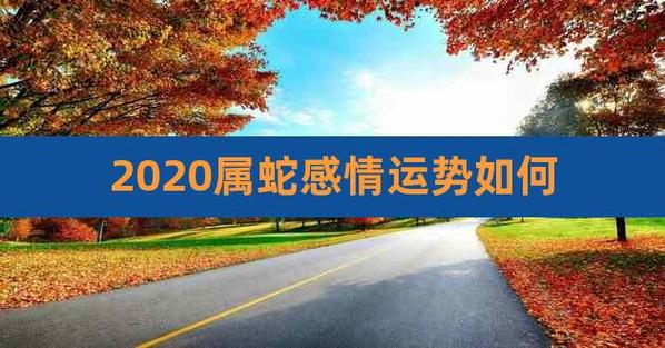 2023属蛇感情运势如何,属蛇的下半年感情运势