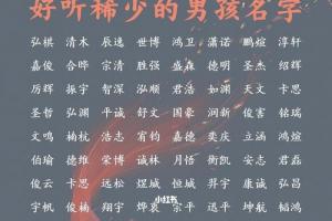 好听稀少的男孩名字,牛年男孩取名大全_宝宝起名_大海_才子怎么样