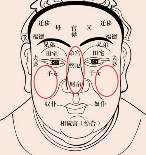 玄灵阁:面相百岁流年图如何看财运?