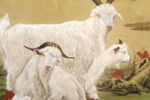 属羊最配的属相属羊的和什么属相最配属羊