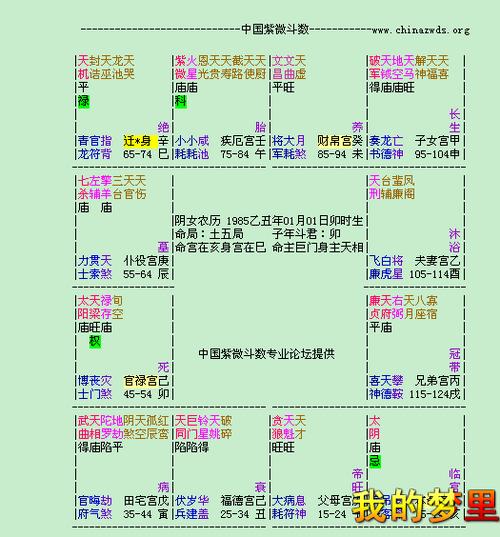 请教高人,谁能给我分析一下紫微命盘?,主要看婚姻,事业和子女?