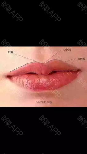 下唇有两个唇珠,两个唇珠中间会有点凹陷,上唇有中间突出的一个唇珠