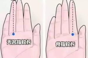 手指长度决定寿命中国手相学竟被美国实验证明