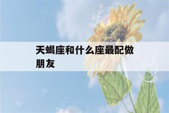 天蝎座和什么座最配做朋友(天蝎座适合和什么座做朋友)-第1张图片-珑