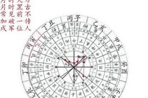 紫薇命盘禄存紫微斗数命主禄存星