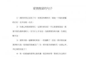 爱情挽留的句子.docx 9页