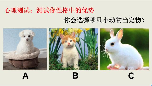 心理测试测试你性格中的优势你会选择哪只小动物当宠物