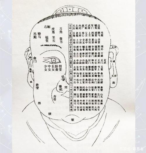 另外面相中有对应流年的部分,以中轴和12支分布,下图为流年运气部位图