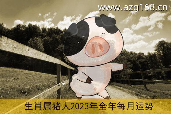 生肖属猪人2023年全年每月运势