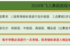 2024年飞儿舞蹈分班制度