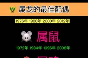 十二生肖  属龙的最佳配偶(1916年,1928年,1940年,1952年,1964年,1976