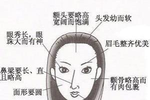 颧骨高的女人面相图解