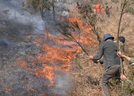 梦见大火烧山是什麼意思 做梦梦到大火烧山好不好