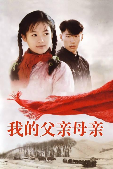《我的父亲母亲》,前几年郭涛,梅婷主演的电视剧《父母爱情》,上映