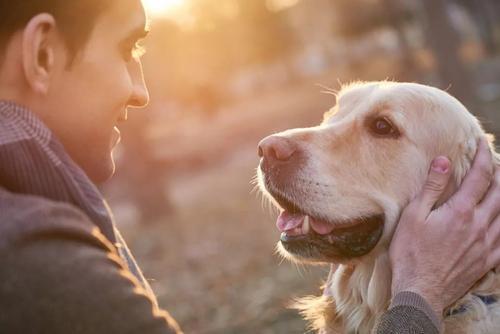 养宠物有利于治愈抑郁症吗?
