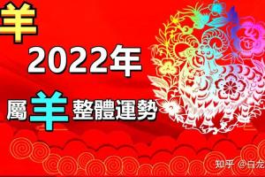 属羊2024年运势及运程详解