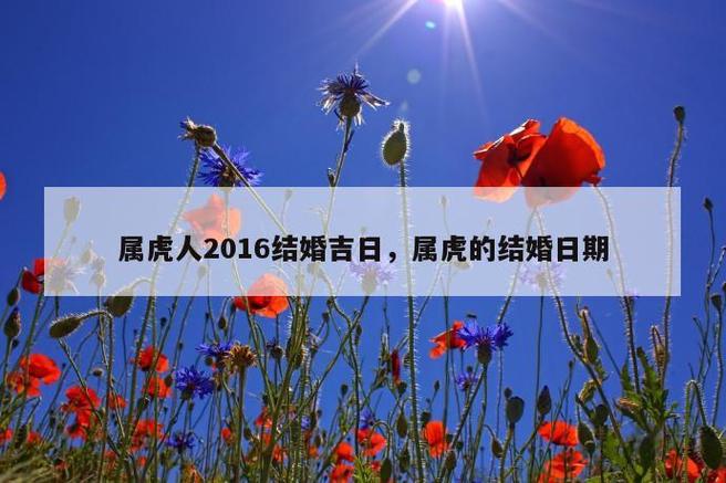 属虎人2023结婚吉日,属虎的结婚日期 第1张