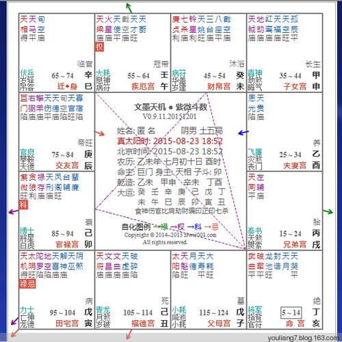 堂棣萱:紫微斗数,宫位定人是,星性定吉兄,四化为运机.