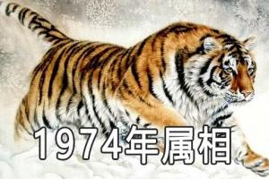 1974属相1974年出生于农历甲寅年,天干为甲,地支为寅,甲五行属木,寅为