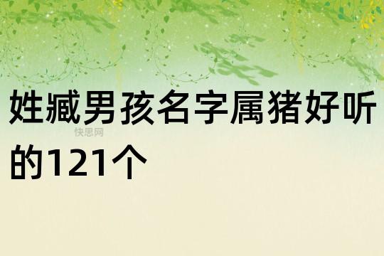 姓臧男孩名字属猪好听的121个