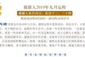 属鸡2o17年每月运势,男属鸡2o17年运气好吗