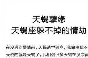 在没遇到爱情前,天蝎遗世独立,我命由我不由天说的就是天蝎了.