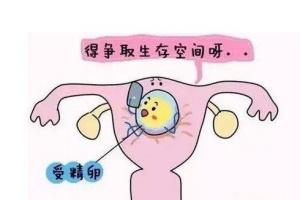 [试管婴儿]【好孕时光】蒙古国试管—试管婴儿取卵越多,成功率越高吗?