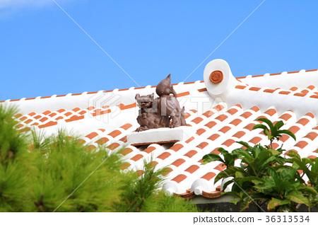 图库照片: 石狮子 屋顶 房顶