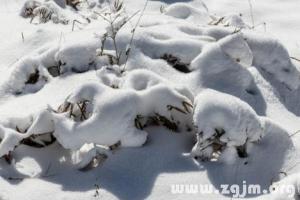 「梦见下雪 周公解梦」梦见下雪或积雪 - 梦见梦到 - 易德轩网