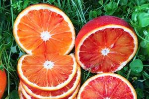 血橙新鲜水果橙子四川资中塔罗科橙红心脐橙橙