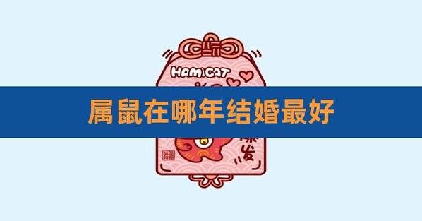 属鼠的女孩什么年结婚好,属鼠人适合结婚的年份