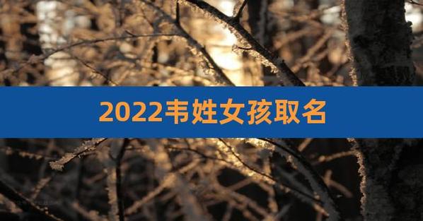 2023韦姓女孩取名,韦氏取名女婴儿