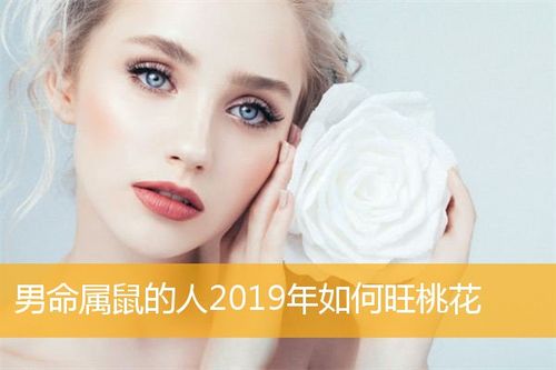 男命属鼠的人2023年如何旺桃花