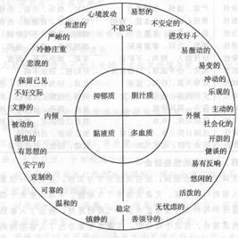 气质类型胆汁质多血质粘液质抑郁质