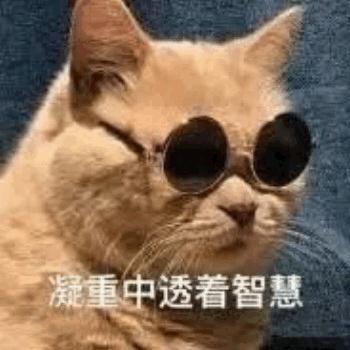 养猫之后,取名也是一件比较重要的事情,我家猫去接的时候,前主人没有