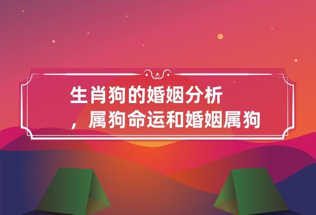 生肖狗的婚姻分析,属狗命运和婚姻 属狗的婚姻状况