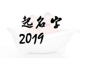 新版的段姓女孩宝宝起名2024猪年