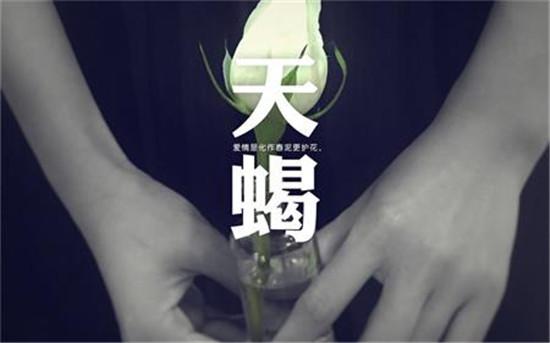 怎样打动天蝎男的心 - 美国神婆星座网