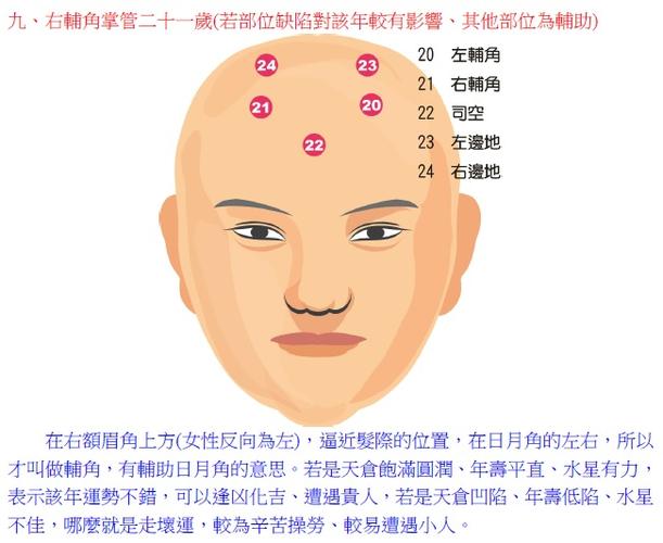 面相大师陈哲毅细论面相百岁流年部位(右辅角九)