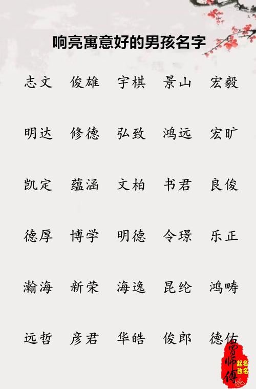 宝宝起名之响亮寓意好的男孩名字 贾师傅起名