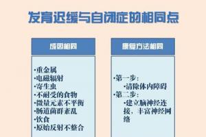 别大意,发育迟缓跟自闭症要同等重视,抓住最佳时期|神经系统|重金属