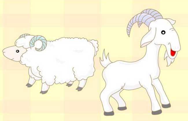 属羊的人几月出生最好?