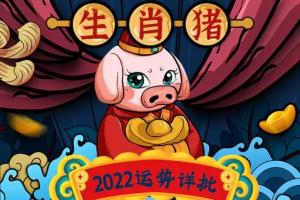每日宜忌老黄历2024年生肖猪运势大全