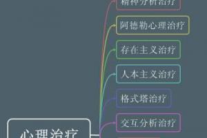 下面引用郑日昌教授的《当代心理咨询与治疗体系》