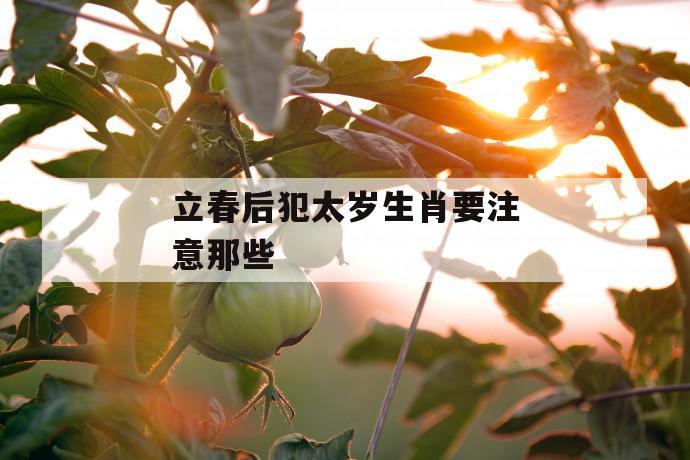 立春后犯太岁生肖要注意那些_老仙骨免费算命网