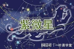 紫微星-基本星情揭秘