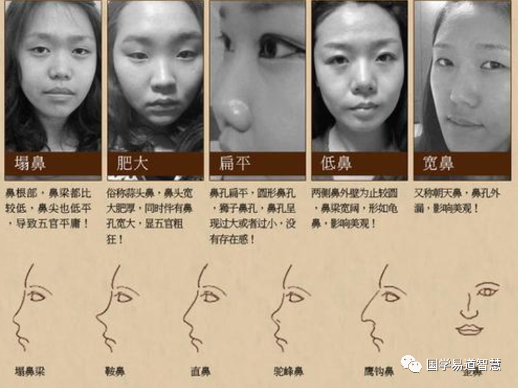 面相学:教你如何看女人的鼻子以及类型_腾讯新闻