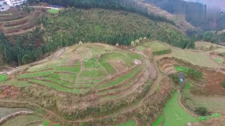 大山深处发现一只老龟活灵活现这才是做墓葬的风水宝地