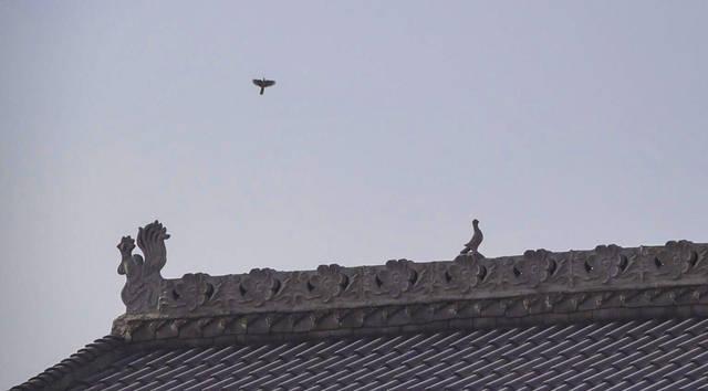 陕西旅游,西安农村房顶装饰很讲究,你知道有啥寓意吗?